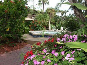 Western & North Naples