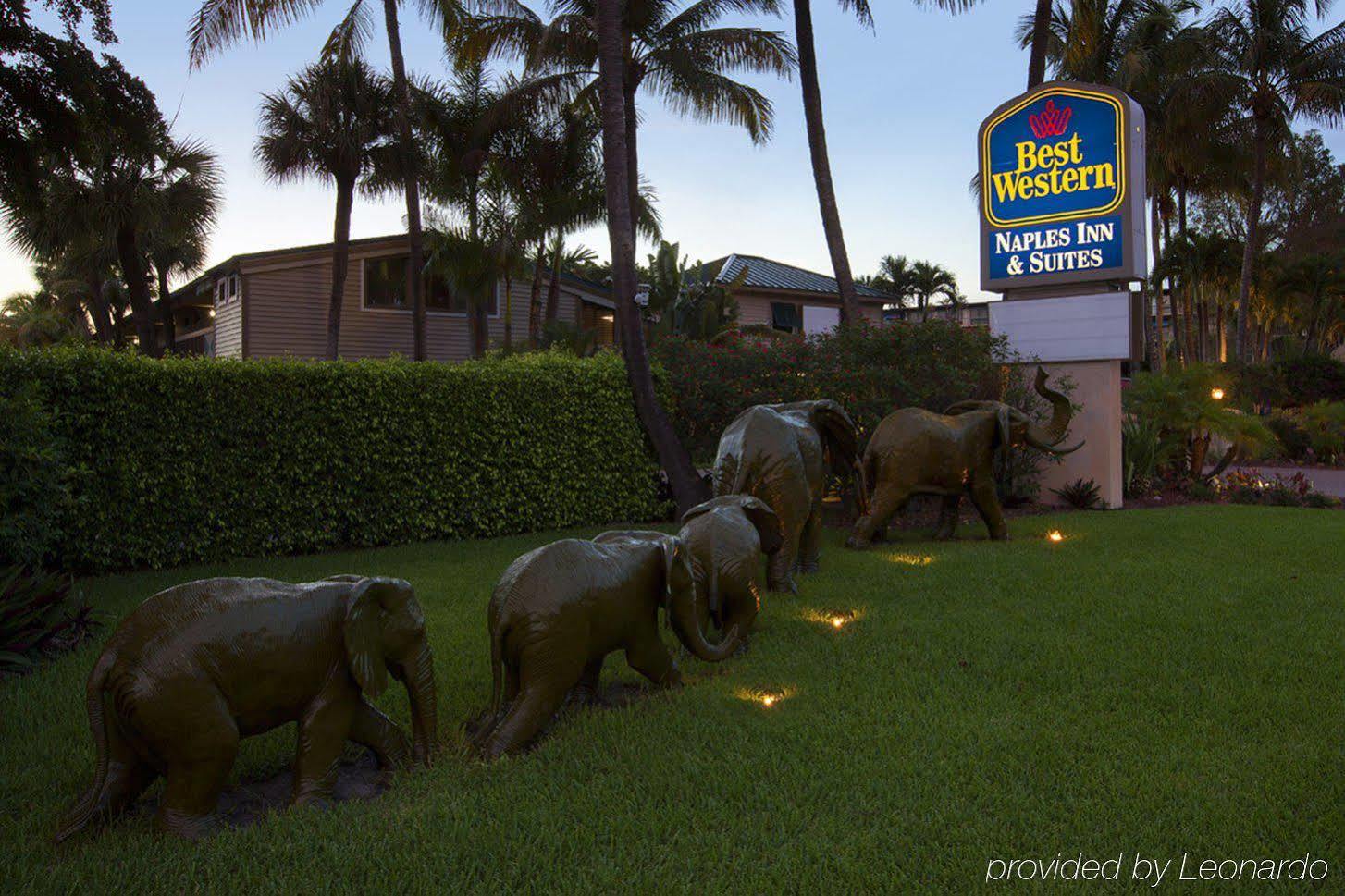 Western & 3* North Naples